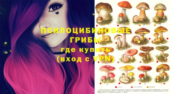 COCAINE Верея