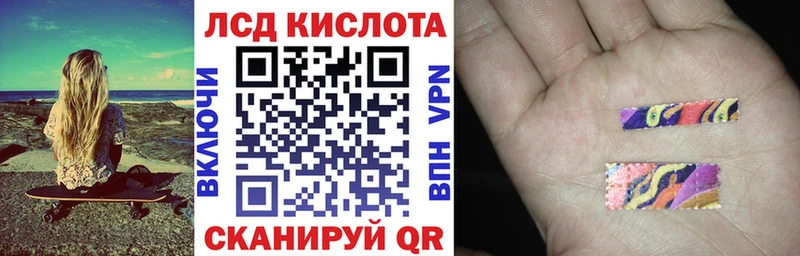 Марки 25I-NBOMe 1500мкг  где найти наркотики  Петровск-Забайкальский 