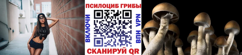 Галлюциногенные грибы Psilocybine cubensis  наркотики  Петровск-Забайкальский 